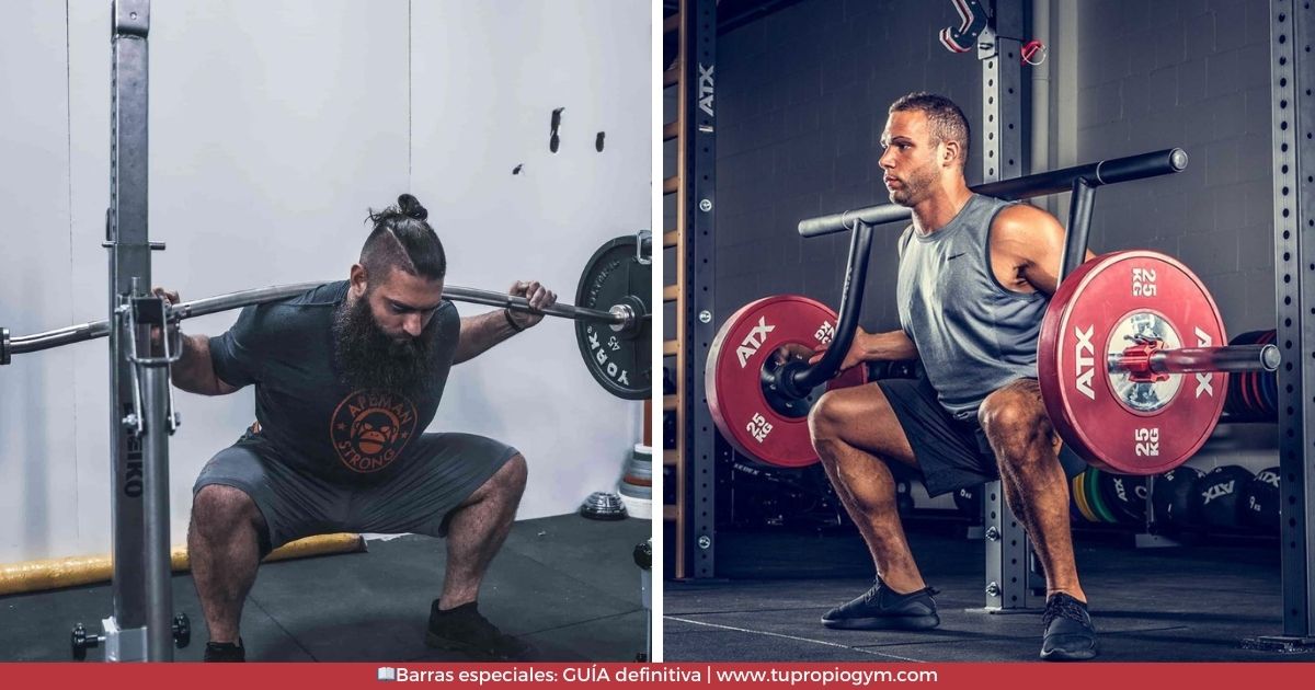 ▷ Barras especiales: guía comprensiva Bow y cambered squat bar