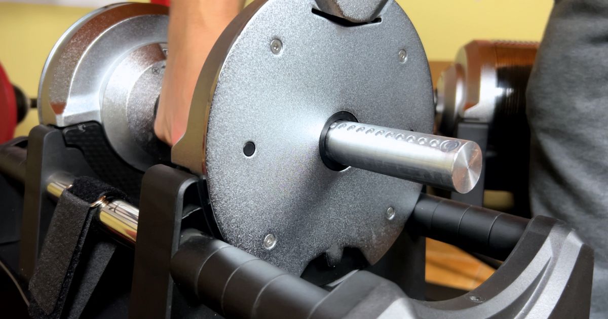 dial rotatorio de las mancuernas ajustables platinum 41