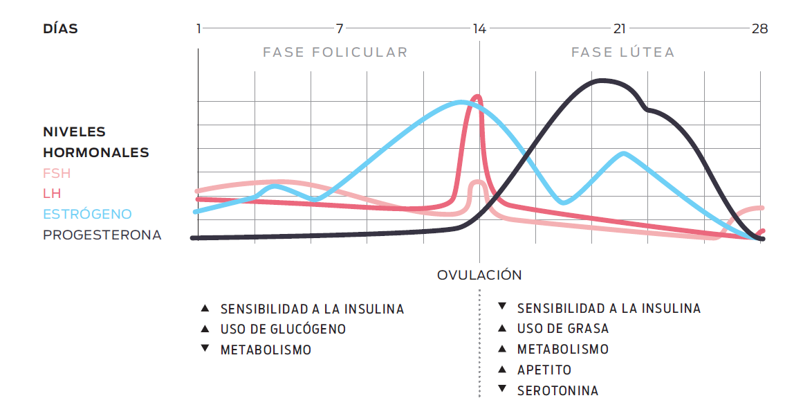 programa entrenamiento hipertrofia mujeres
