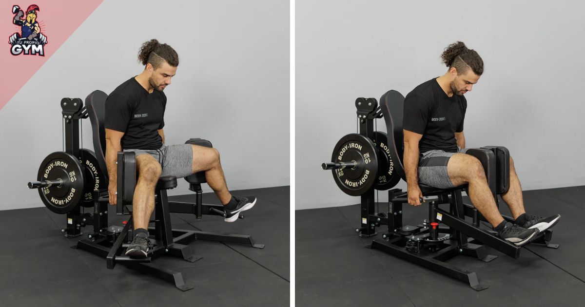 Mejores máquinas duales para casa maquina combo hip abduction hip adduction