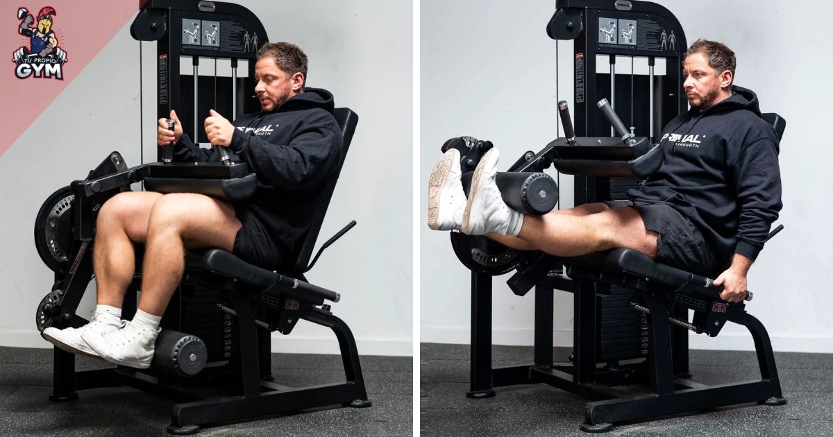Mejores máquinas duales para casa maquina leg extension leg curl casa